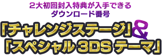 2大初回封入特典が入手できるダウンロード番号「チャレンジステージ」&「スペシャル3DSテーマ」